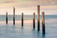 Sunset at Palendorp in Petten, North Holland by Henk Meijer Photography thumbnail