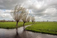 Nederlands polderlandschap op een stormachtige dag
