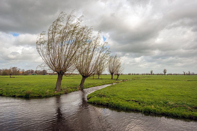 Nederlands polderlandschap op een stormachtige dag van Ruud Morijn