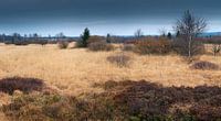 Panorama High Fens / Hautes Fagnes. by Rob Christiaans thumbnail