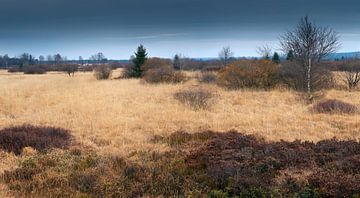 Panorama High Fens / Hautes Fagnes. by Rob Christiaans