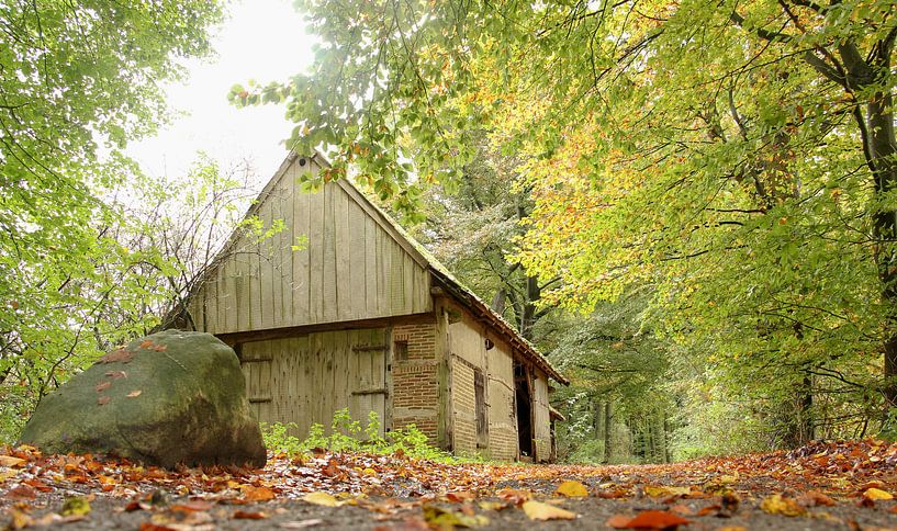 oude schuur in het bos van cindy kuiphuis
