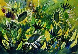 Zonnebloemen van pol ledent