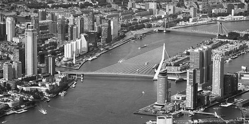 Rotterdam Skyline (noir et blanc)
