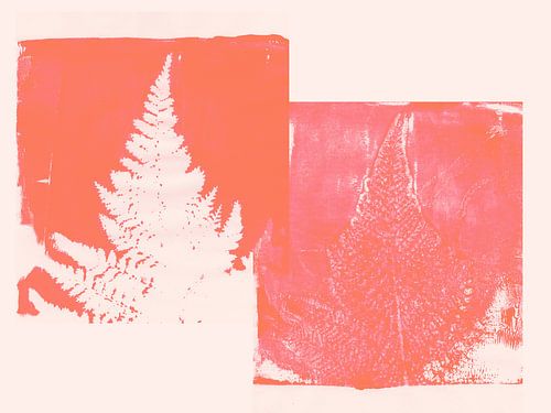 Minimalistische, abstracte botanische kunst in roze en oranje. Varens