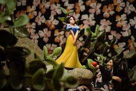 Snow White gets the poisoned apple from the evil stepmother by Maud De Vries