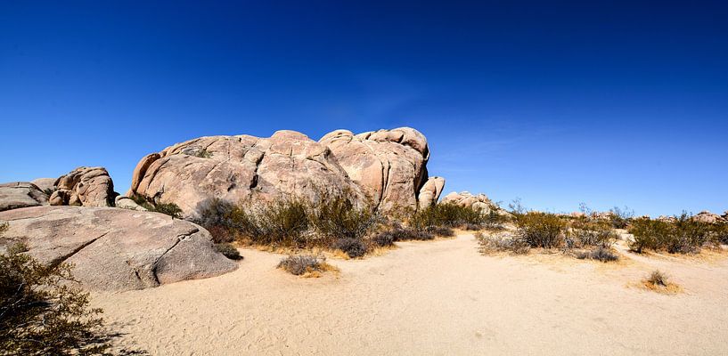 Joshua-Tree-National-Park von GH Foto & Artdesign