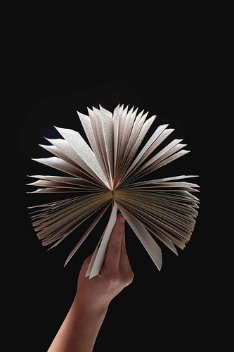 Rustgevende Boekencirkel Fotografie - Kunst aan de Muur voor Minimalistische en Elegante Interieurs