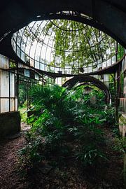 Serre abandonnée avec des plantes. sur Roman Robroek - Photos de bâtiments abandonnés