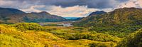 Panoramafoto des Ladies View im Killarney National Park von Henk Meijer Photography Miniaturansicht