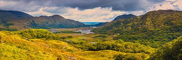 Panorama foto van de Ladies View in Killarney Nationaal Park