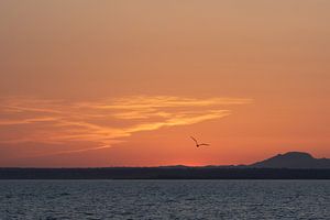 Romantischer Sonnenuntergang vor Mallorca