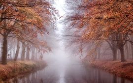 Foggy autumn morning. by Hans Buls Photography