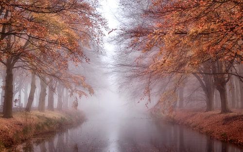 Mistige herfstmorgen.
