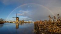 Regenboog boven Kinderdijk  van André Hamerpagt thumbnail