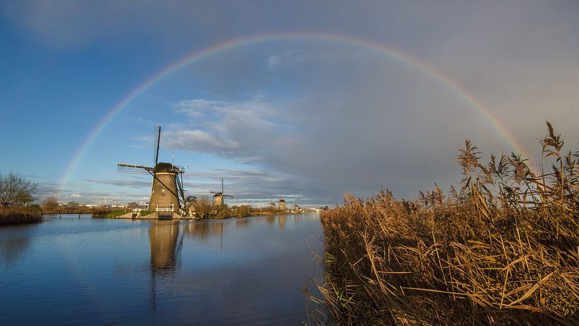 Regenboog boven Kinderdijk  van André Hamerpagt