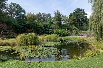 Höhenpark Killesberg van Richard Wareham