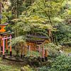 Fushimi Inari Taisha van Peter Dane
