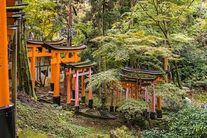 Fushimi Inari Taisha