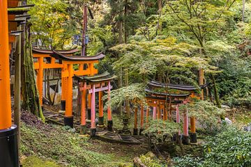 Fushimi Inari Taisha van Peter Dane