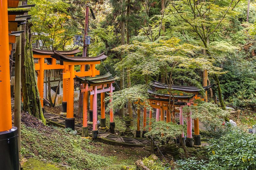 Fushimi Inari Taisha by Peter Dane