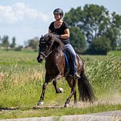 Marja Koole profielfoto