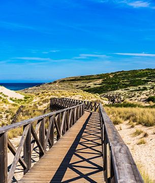 Promenade en bois à travers les dunes de sable de Cala Mesquida sur Alex Winter