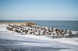 Boulders on Neeltje Jans by Michel Koenes