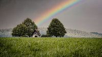 Regenboog