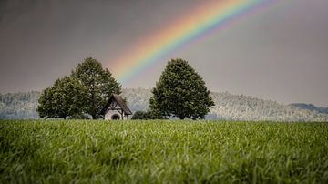 Rainbow by Andre Michaelis