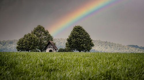 Regenbogen