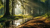 Daybreak by Peet de Rouw thumbnail