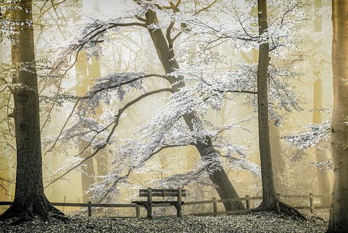 Tranquille et non dérangé