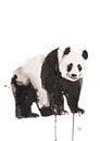 Print van een panda, bijzondere dieren illustratie van Angela Peters thumbnail