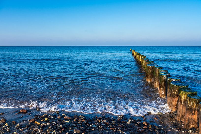 Baltic Sea coast in Graal Mueritz, Germany by Rico Ködder