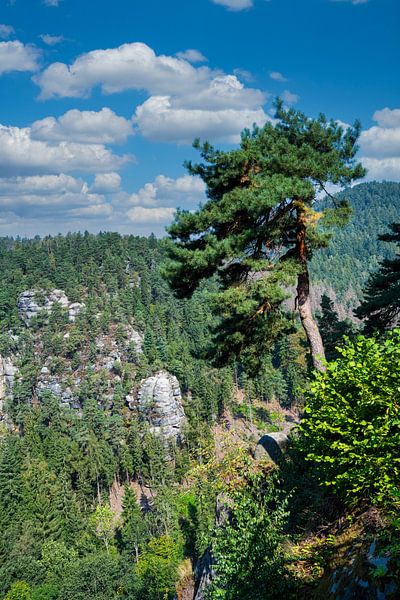 A view from the ruins of Oybin Monastery by Andreas Völkel