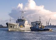 The Sr. Ms. Luymes (A803) by Edwin Kooren thumbnail