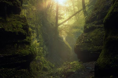 Mistig klein Zwitserland in Luxemburg