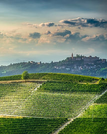 De wijngaarden van Langhe bij Neive, met het dorp Guarene, Italië van Stefano Orazzini
