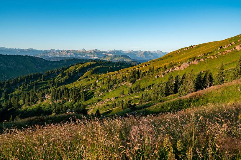 Nagelfluhkette im Allgäu vom Hochgrat von Leo Schindzielorz