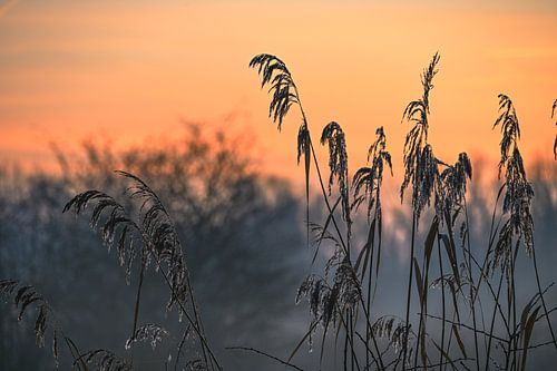 Meinerswijk part 110