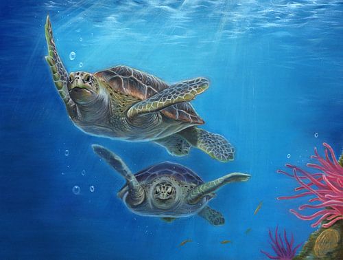 Schildkröten Zeichnung Leontine van Vliet