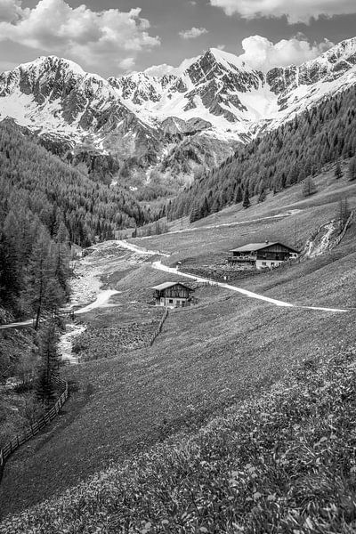Bergmeister Alm in het Mühlwalder Tal bij Lappach, Tauferer Ahrntal van Christian Müringer