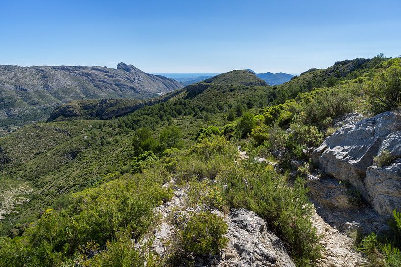 Paysage de montagne verdoyant et le rocher du Cavall Verd sur Montepuro