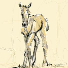 Foal Charlie by Go van Kampen