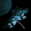 DRAGONFLY III by Pia Schneider