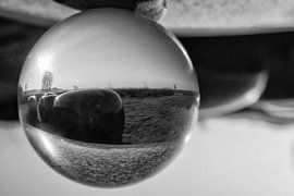 Glaskugel von Maarten Kooij