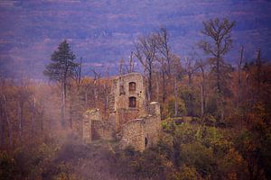 Château de neige d'Ebringen