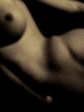 Naked woman – Figure detail nr 3