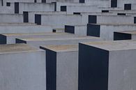 Mémorial de l'Holocauste, Berlin par Nynke Altenburg Aperçu